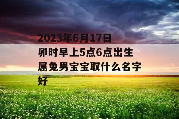 2023年6月17日卯时早上5点6点出生属兔男宝宝取什么名字好
