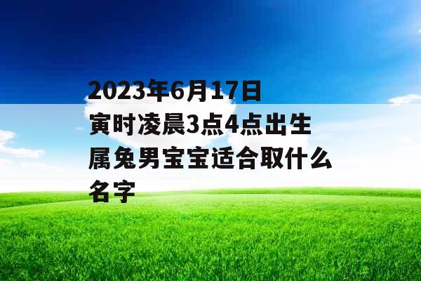 2023年6月17日寅时凌晨3点4点出生属兔男宝宝适合取什么名字