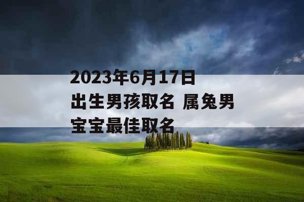 2023年6月17日出生男孩取名 属兔男宝宝最佳取名