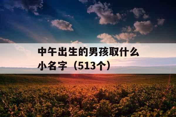 中午出生的男孩取什么小名字（513个）