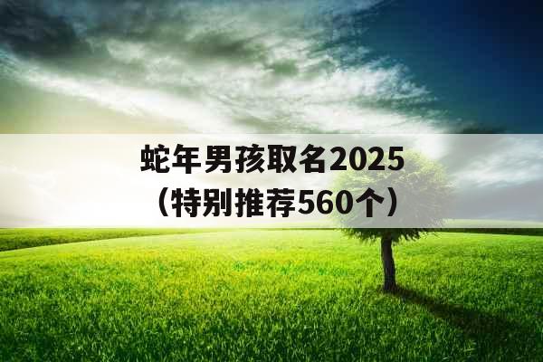 蛇年男孩取名2025（特别推荐560个）