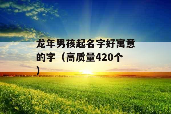 龙年男孩起名字好寓意的字（高质量420个）