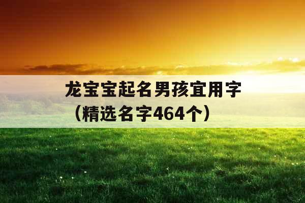 龙宝宝起名男孩宜用字（精选名字464个）