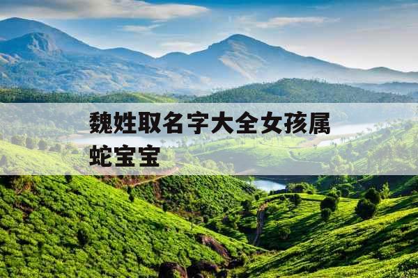 魏姓取名字大全女孩属蛇宝宝 魏姓取名字大全女孩属蛇宝宝