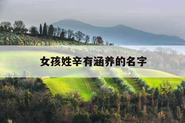 女孩姓辛有涵养的名字