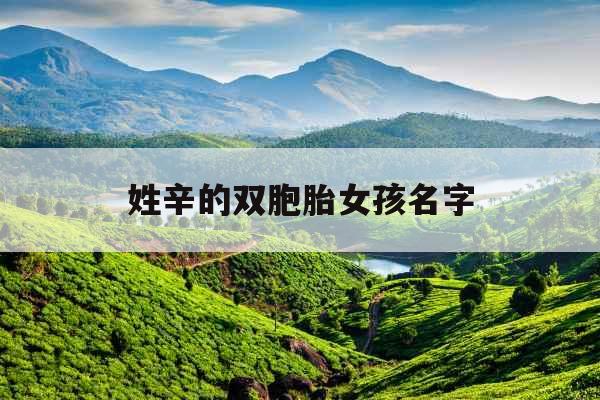 姓辛的双胞胎女孩名字