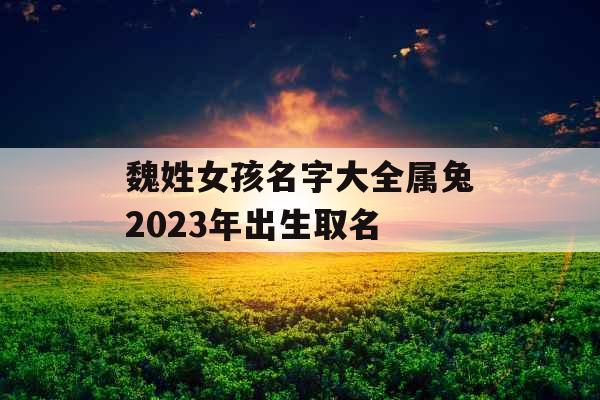 魏姓女孩名字大全属兔2023年出生取名