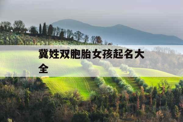 冀姓双胞胎女孩起名大全