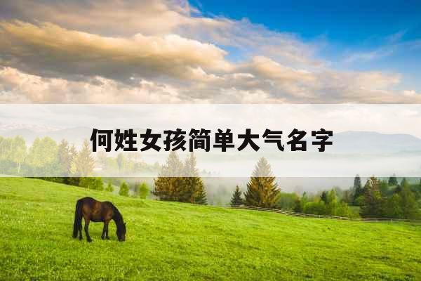 何姓女孩简单大气名字