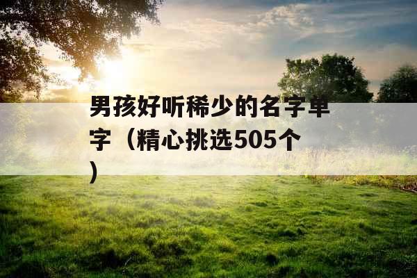 男孩好听稀少的名字单字（精心挑选505个）