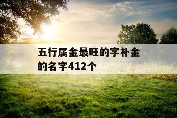 五行属金最旺的字补金的名字412个