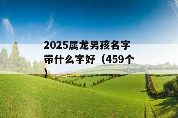 2025属龙男孩名字带什么字好(459个) 2025属龙男孩名字带什么字好(459个)
