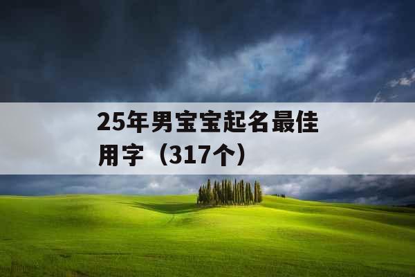 25年男宝宝起名最佳用字(317个) 25年男宝宝起名最佳用字(317个)