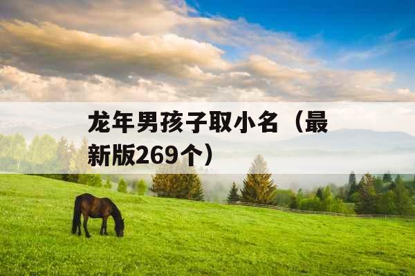 龙年男孩子取小名(最新版269个) 龙年男孩子取小名(最新版269个)