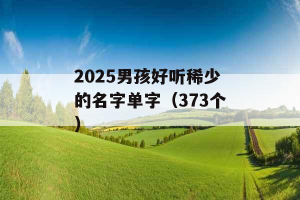 2025男孩好听稀少的名字单字(373个) 2025男孩好听稀少的名字单字(373个)