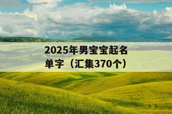 2025年男宝宝起名单字(汇集370个) 2025年男宝宝起名单字(汇集370个)