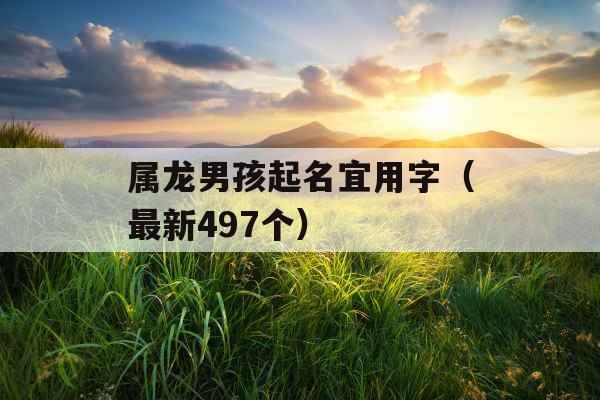 属龙男孩起名宜用字(最新497个) 属龙男孩起名宜用字(最新497个)